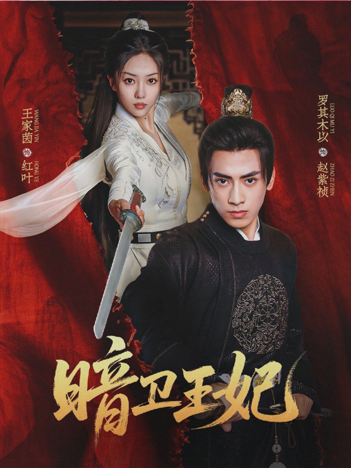 暗卫王妃(全集)