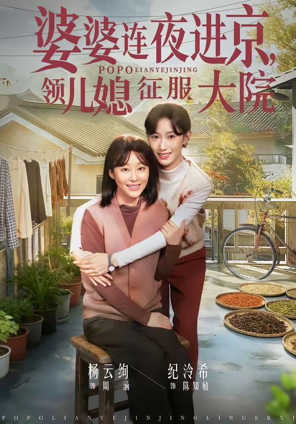 婆婆连夜进京，领儿媳征服大院(全集)