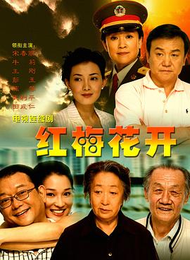 红梅花开2007(全集)